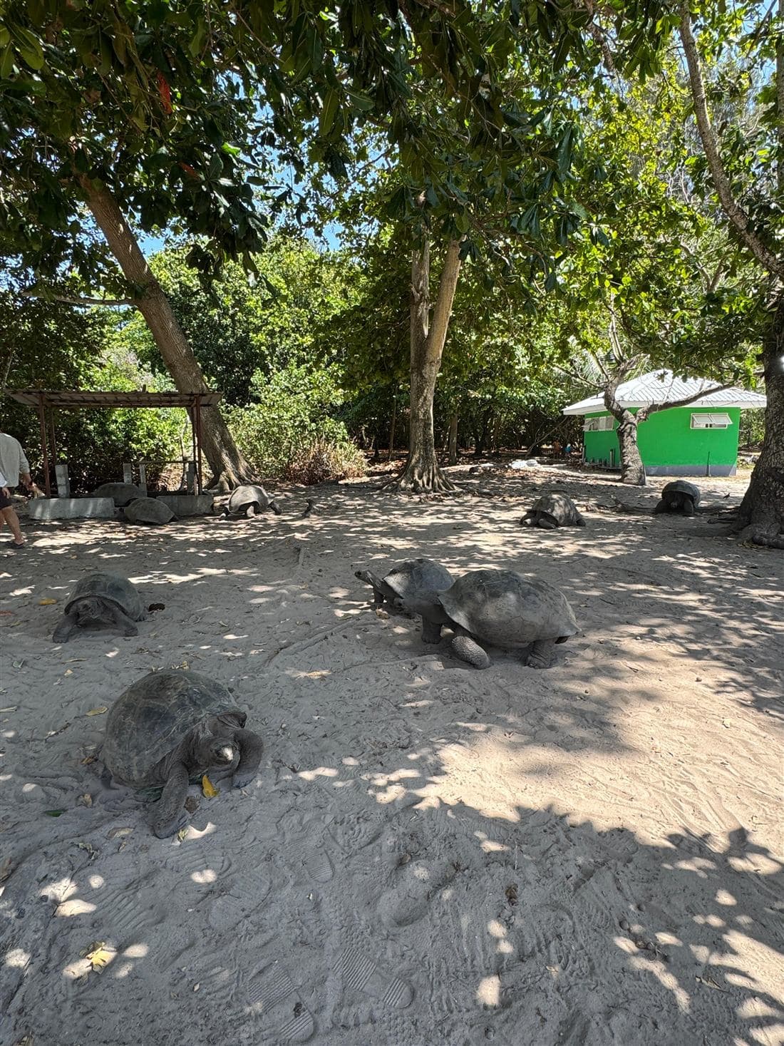 Ziblo Boat Charter guests in Seychelles — photo 1